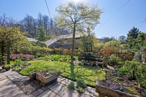 Photo 31- click for photo gallery